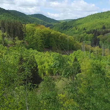 Holiday Home In Hesse With Near Sauerland بيت للعطل